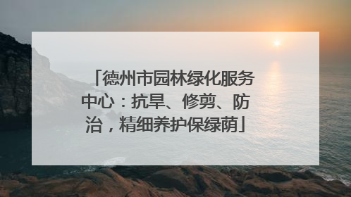 德州市园林绿化服务中心：抗旱、修剪、防治，精细养护保绿荫