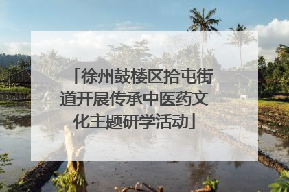 徐州鼓楼区拾屯街道开展传承中医药文化主题研学活动