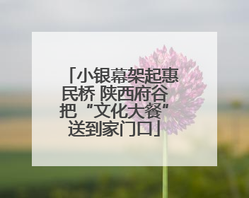 小银幕架起惠民桥 陕西府谷把“文化大餐”送到家门口