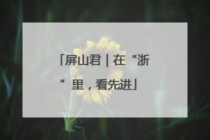 屏山君｜在“浙”里，看先进