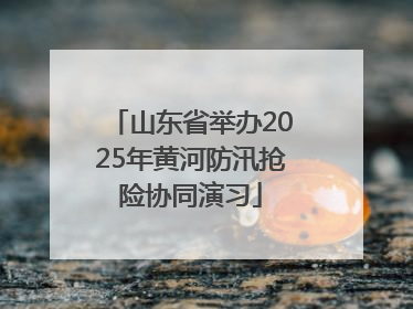 山东省举办2025年黄河防汛抢险协同演习