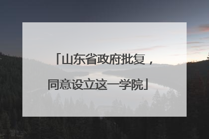 山东省政府批复，同意设立这一学院