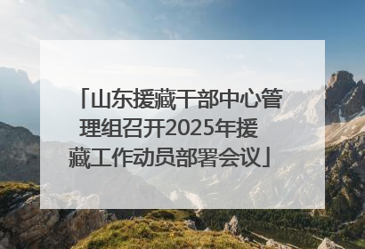 山东援藏干部中心管理组召开2025年援藏工作动员部署会议