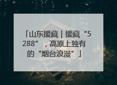 山东援藏｜援藏“5288”，高原上独有的“烟台浪漫”