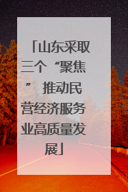 山东采取三个“聚焦” 推动民营经济服务业高质量发展
