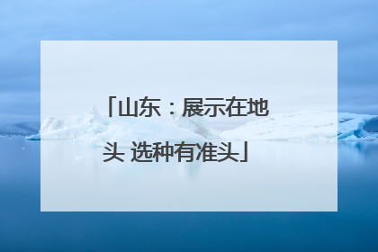 山东：展示在地头 选种有准头