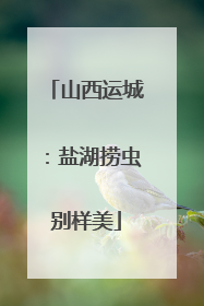 山西运城：盐湖捞虫别样美