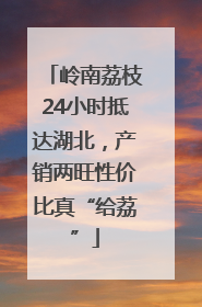 岭南荔枝24小时抵达湖北，产销两旺性价比真“给荔”