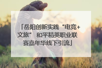 岳阳创新实践“电竞+文旅” 和平精英职业联赛嘉年华线下引流