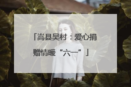 嵩县吴村：爱心捐赠情暖“六一”
