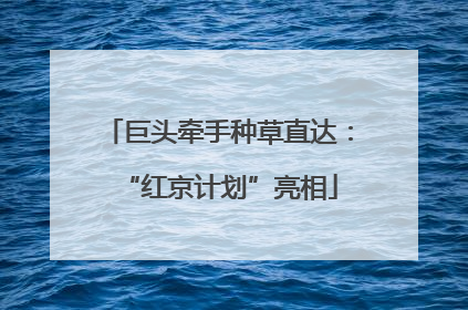 巨头牵手种草直达：“红京计划”亮相