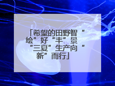 希望的田野智“绘”好“丰”景 “三夏”生产向“新”而行