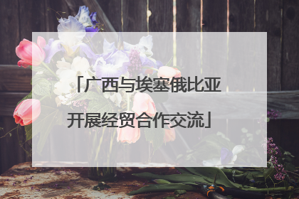 广西与埃塞俄比亚开展经贸合作交流