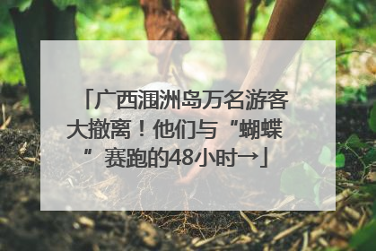 广西涠洲岛万名游客大撤离！他们与“蝴蝶”赛跑的48小时→