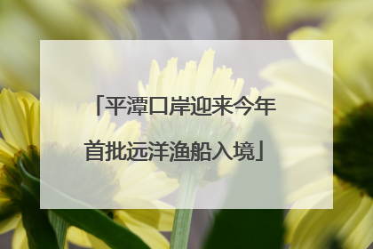 平潭口岸迎来今年首批远洋渔船入境