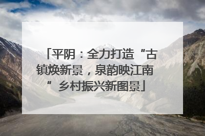 平阴：全力打造“古镇焕新景，泉韵映江南”乡村振兴新图景