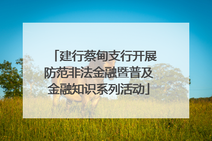 建行蔡甸支行开展防范非法金融暨普及金融知识系列活动