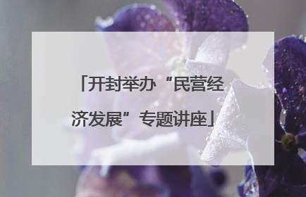 开封举办“民营经济发展”专题讲座