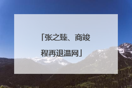张之臻、商竣程再退温网