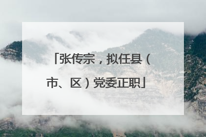 张传宗，拟任县（市、区）党委正职
