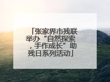 张家界市残联举办“自然探索，手作成长”助残日系列活动