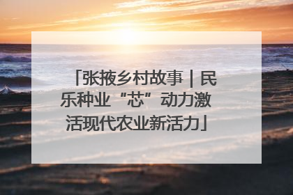 张掖乡村故事｜民乐种业“芯”动力激活现代农业新活力