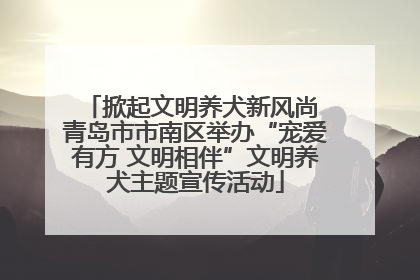 掀起文明养犬新风尚 青岛市市南区举办“宠爱有方 文明相伴”文明养犬主题宣传活动