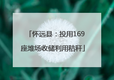 怀远县：投用169座堆场收储利用秸秆