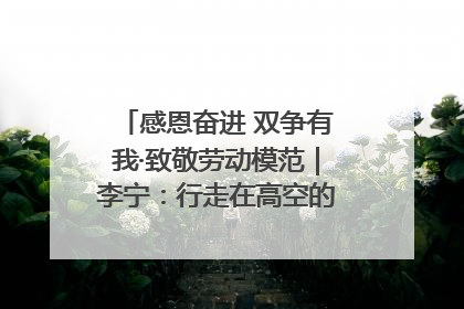 感恩奋进 双争有我·致敬劳动模范｜李宁：行走在高空的“电网卫士”