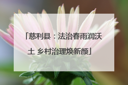 慈利县：法治春雨润沃土 乡村治理焕新颜
