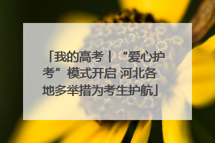 我的高考丨“爱心护考”模式开启 河北各地多举措为考生护航