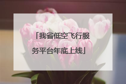 我省低空飞行服务平台年底上线