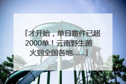 才开始，单日寄件已超2000单！云南野生菌火到全国各地……