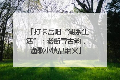 打卡岳阳“湖系生活”：老街寻古韵，渔歌小镇品烟火