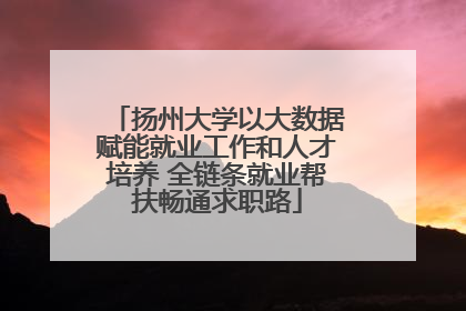 扬州大学以大数据赋能就业工作和人才培养 全链条就业帮扶畅通求职路
