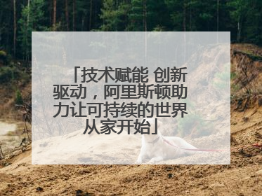 技术赋能 创新驱动，阿里斯顿助力让可持续的世界从家开始