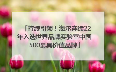 持续引领！海尔连续22年入选世界品牌实验室中国500最具价值品牌