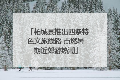 柘城县推出四条特色文旅线路 点燃暑期近郊游热潮