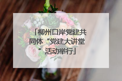 柳州口岸党建共同体“党建大讲堂”活动举行