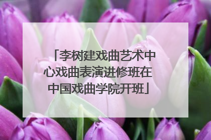 李树建戏曲艺术中心戏曲表演进修班在中国戏曲学院开班