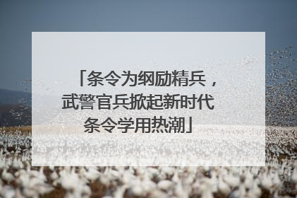 条令为纲励精兵，武警官兵掀起新时代条令学用热潮