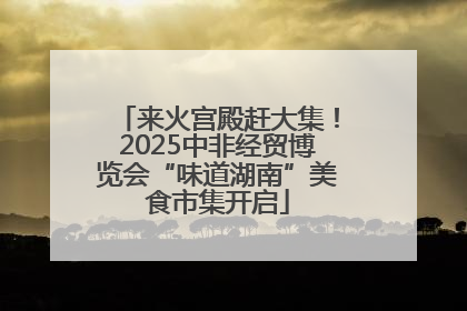 来火宫殿赶大集！2025中非经贸博览会“味道湖南”美食市集开启