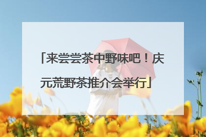 来尝尝茶中野味吧！庆元荒野茶推介会举行