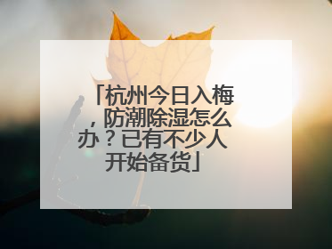 杭州今日入梅，防潮除湿怎么办？已有不少人开始备货