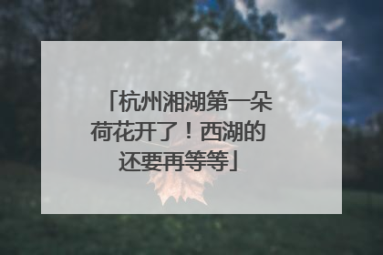 杭州湘湖第一朵荷花开了！西湖的还要再等等