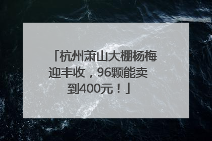 杭州萧山大棚杨梅迎丰收，96颗能卖到400元！
