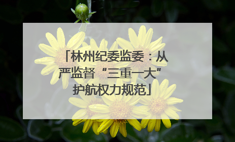 林州纪委监委：从严监督“三重一大” 护航权力规范