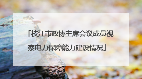 枝江市政协主席会议成员视察电力保障能力建设情况