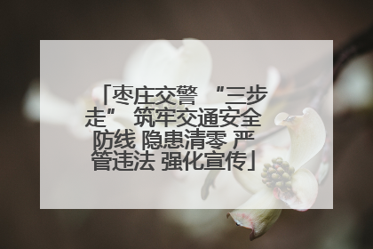 枣庄交警 “三步走” 筑牢交通安全防线 隐患清零 严管违法 强化宣传
