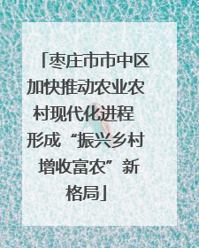 枣庄市市中区加快推动农业农村现代化进程 形成“振兴乡村 增收富农”新格局